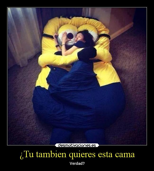 ¿Tu tambien quieres esta cama - Verdad?