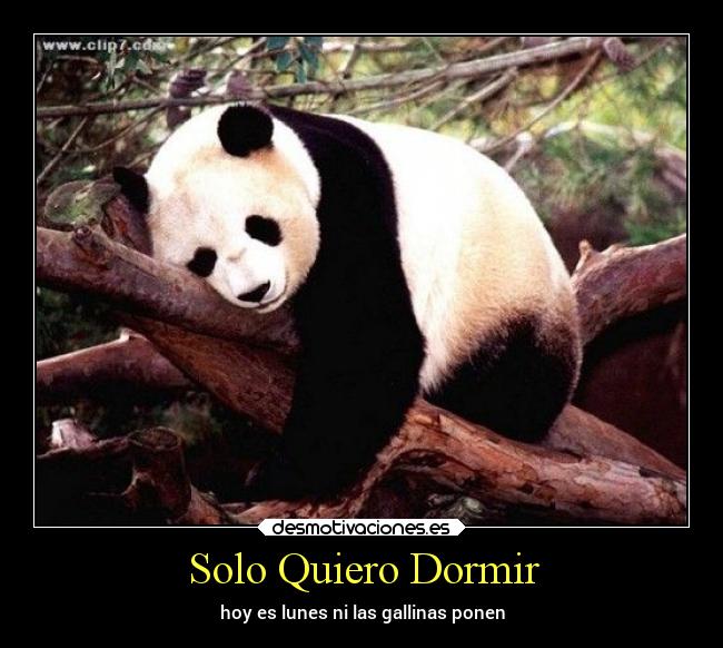 Solo Quiero Dormir -