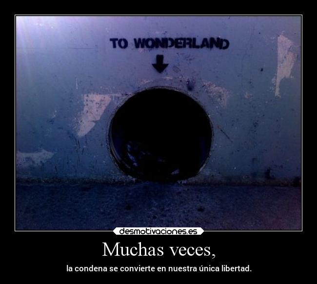 carteles enemigo autodestruccion desmotivaciones