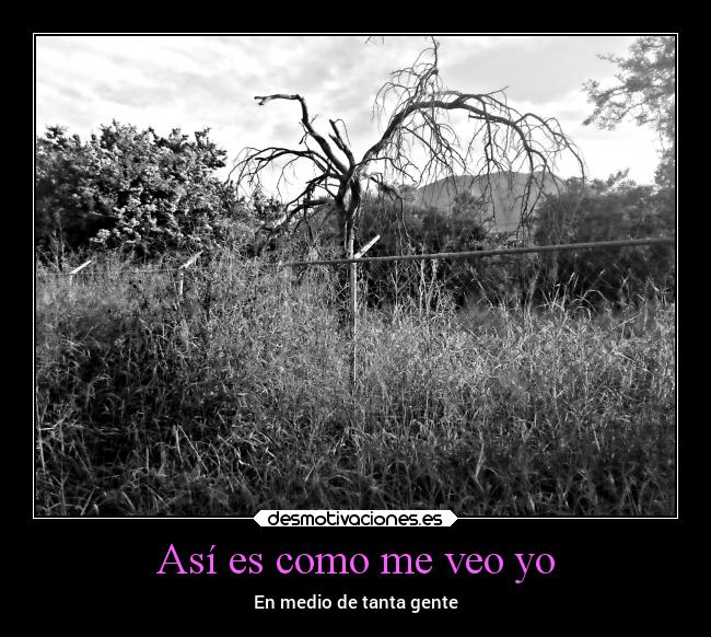 Así es como me veo yo - En medio de tanta gente