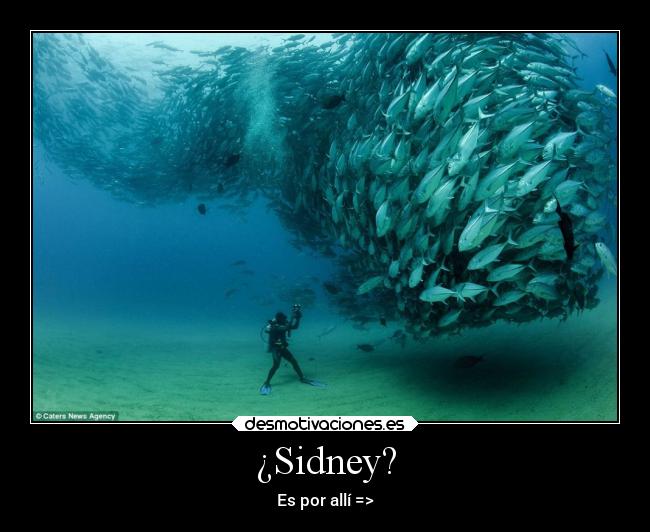 ¿Sidney? - 