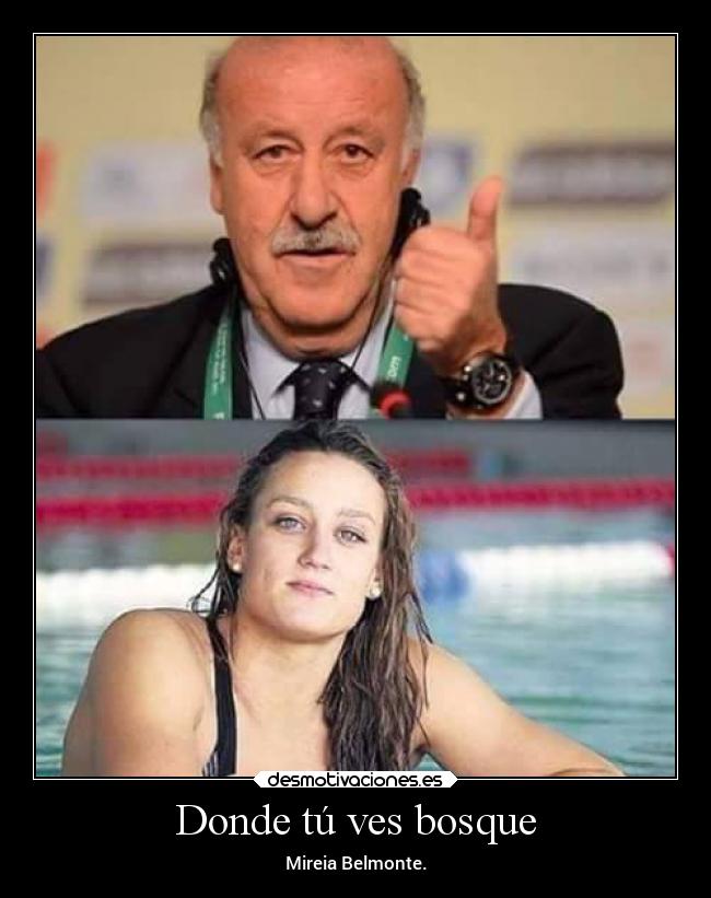 Donde tú ves bosque - 