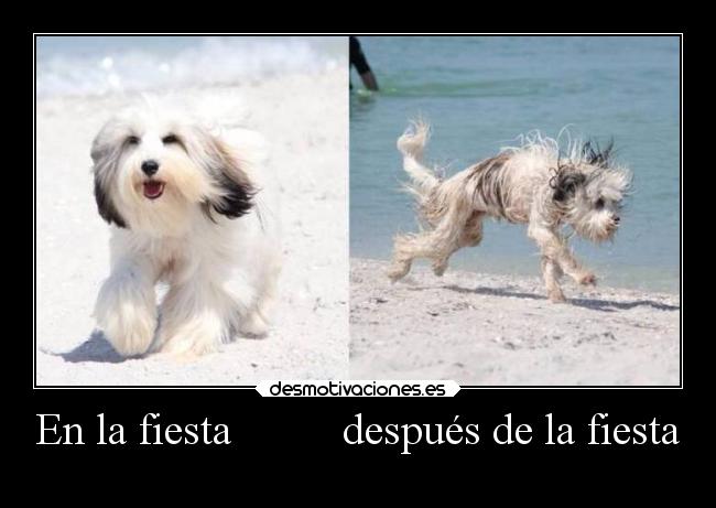 En la fiesta          después de la fiesta - 