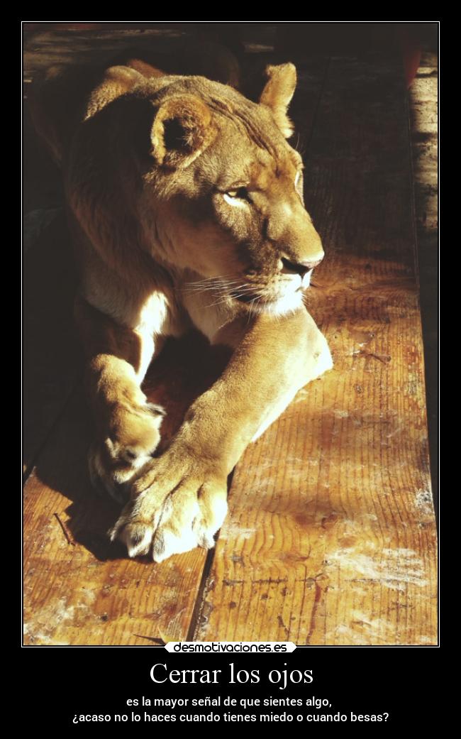 carteles frases soledad pensamientos sentimientos vida miedo desmotivaciones desmotivaciones