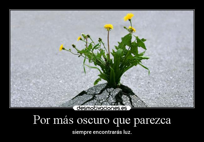 Por más oscuro que parezca - siempre encontrarás luz.