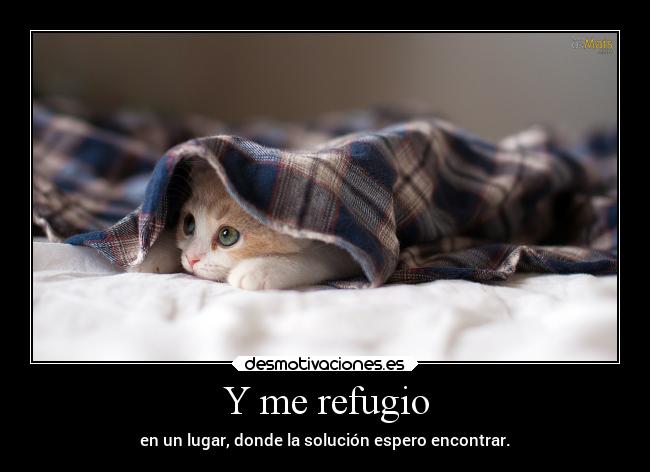 Y me refugio - en un lugar, donde la solución espero encontrar.