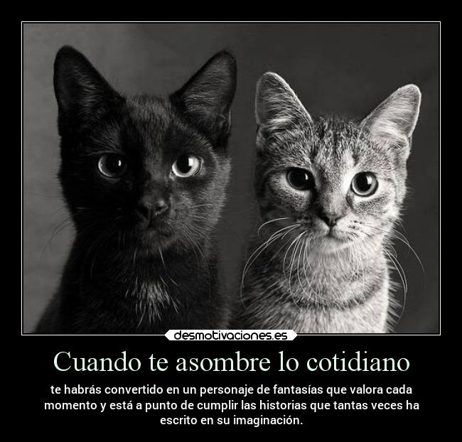 Cuando te asombre lo cotidiano -