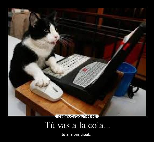 Tú vas a la cola... -