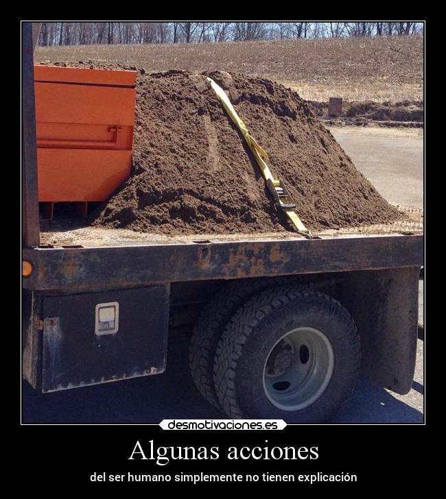 Algunas acciones - 