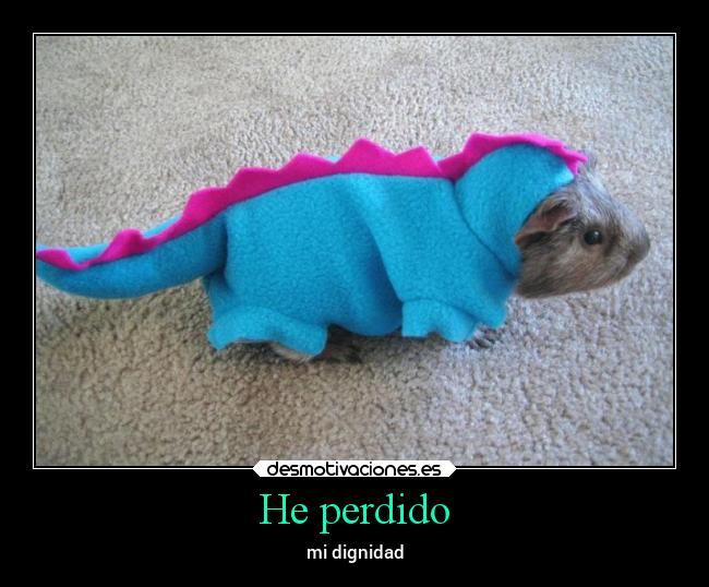 He perdido -