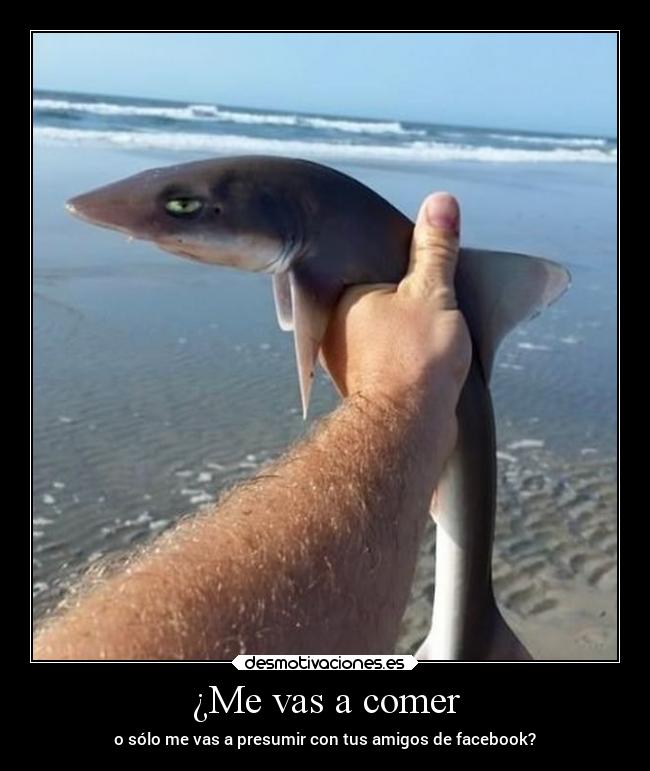 ¿Me vas a comer - o sólo me vas a presumir con tus amigos de facebook?