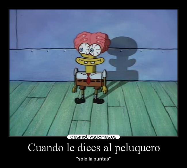 carteles graciosas humor bob esponja pelo corte cabello desmotivaciones