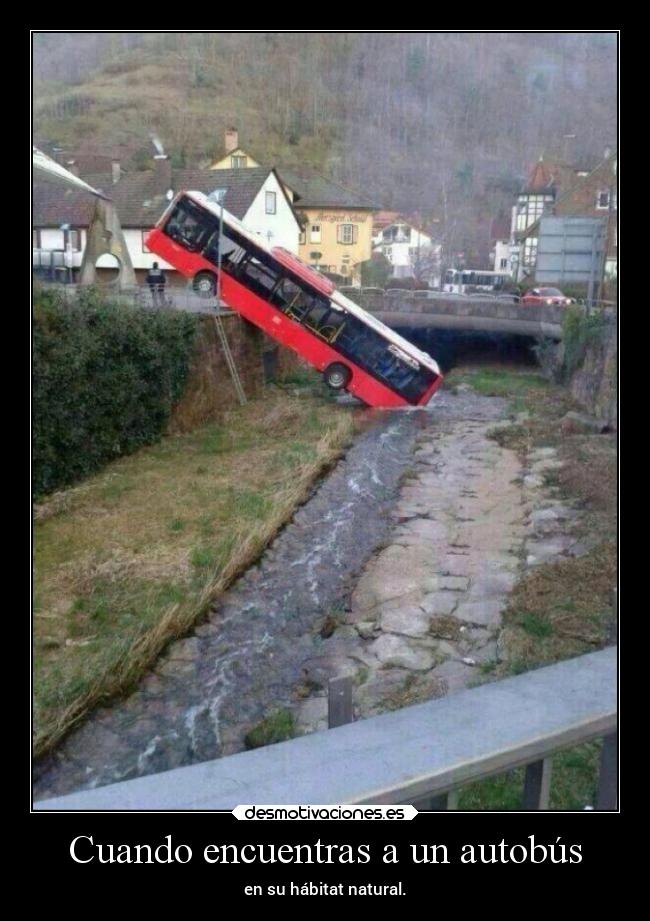 Cuando encuentras a un autobús - en su hábitat natural.
