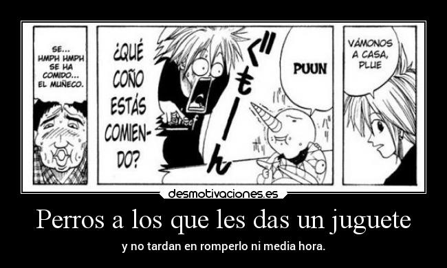 carteles humor anime raptorhunters harukaze manga ravemaster rave master perros plue haru haruglory perro desmotivaciones