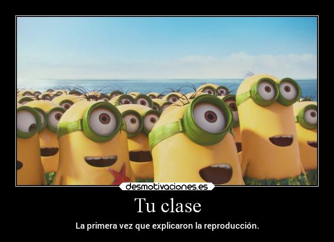 Tu clase - La primera vez que explicaron la reproducción.