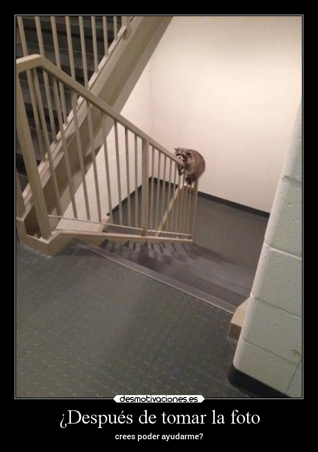 ¿Después de tomar la foto - crees poder ayudarme?
