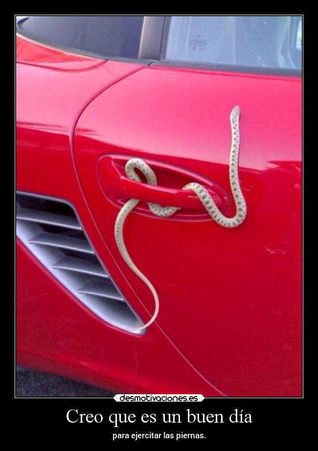 Creo que es un buen día -