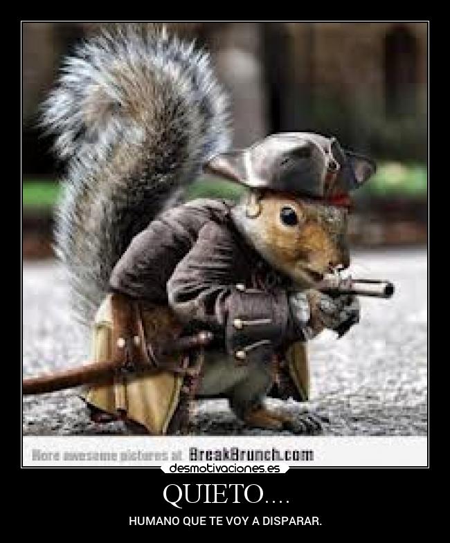 QUIETO.... - HUMANO QUE TE VOY A DISPARAR.