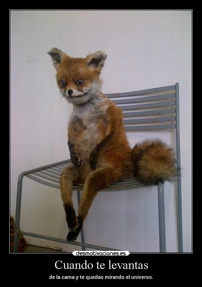 Cuando te levantas - de la cama y te quedas mirando el universo.