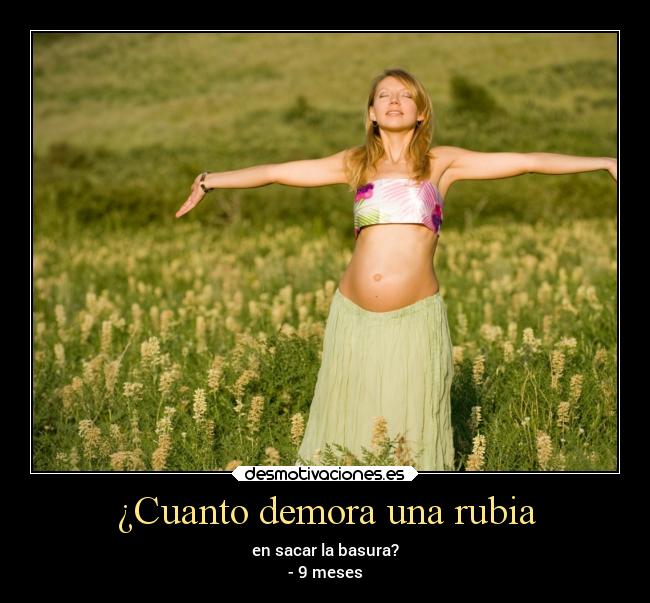 ¿Cuanto demora una rubia - 