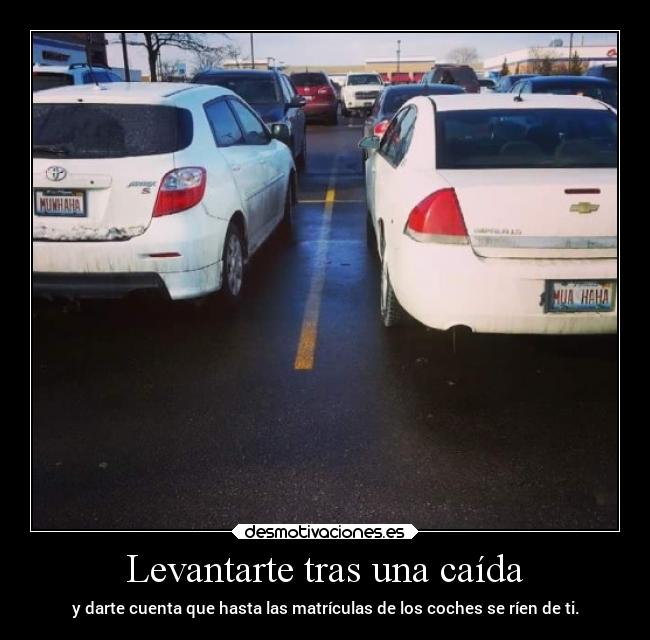 carteles humor graciosas risas matriculas coches rilacs desmotivaciones