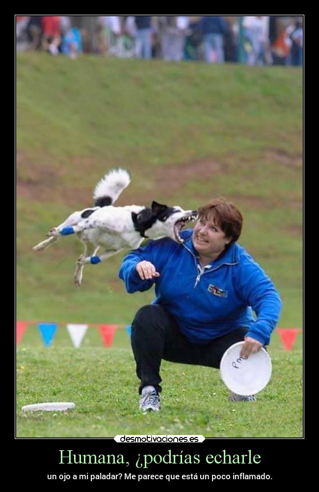 Humana, ¿podrías echarle - 