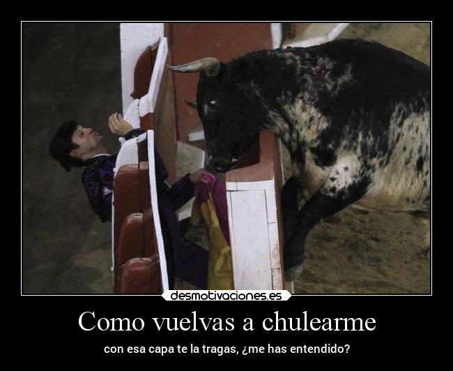 carteles humor graciosas toro capa chulear desmofunny rilacs desmotivaciones