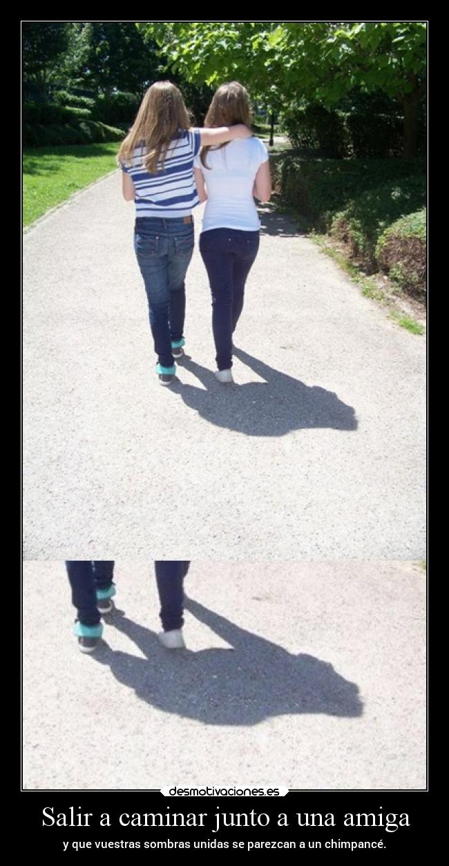 carteles humor graciosas caminar amiga sombras chimpance desmofunny clanpatosos rilacs desmotivaciones