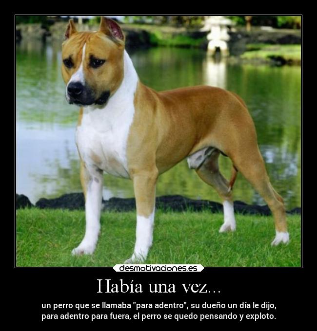Había una vez... - un perro que se llamaba para adentro, su dueño un día le dijo,
para adentro para fuera, el perro se quedo pensando y exploto.