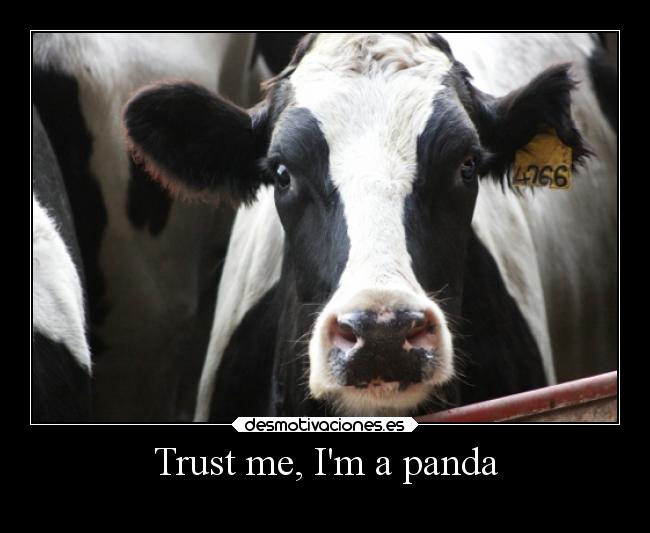 carteles humor slipkdemon clandesplazado vaca holando panda parecidos desmotivaciones