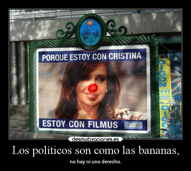 Los políticos son como las bananas, -