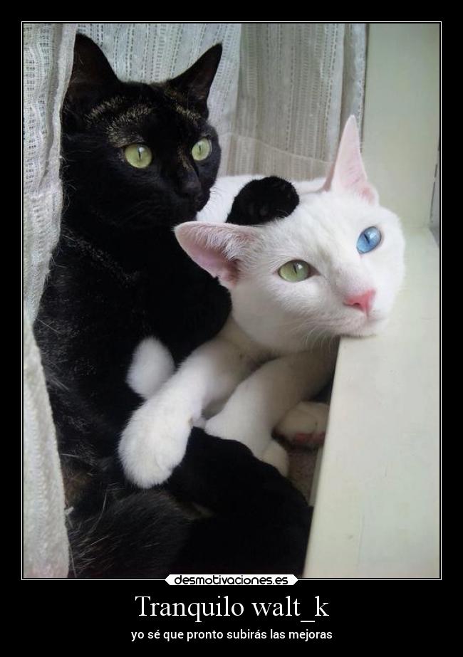 carteles humor slipkdemonsetiraawaltk mejoras desmotivaciones