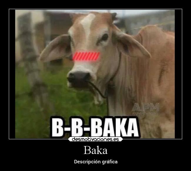 carteles humor vaca baka desmotivaciones