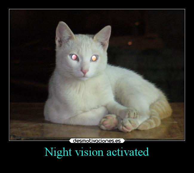 Night vision activated - 