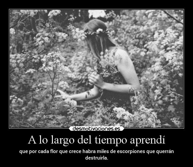 A lo largo del tiempo aprendí - que por cada flor que crece habra miles de escorpiones que querrán
destruirla.