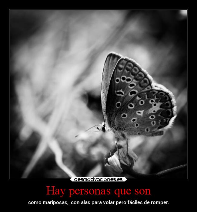 Hay personas que son - como mariposas, con alas para volar pero fáciles de romper.