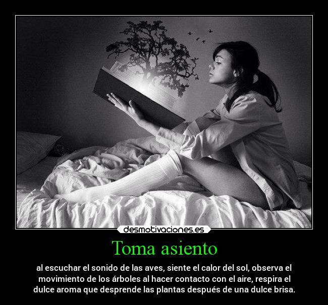 Toma asiento - al escuchar el sonido de las aves, siente el calor del sol, observa el
movimiento de los árboles al hacer contacto con el aire, respira el
dulce aroma que desprende las plantas después de una dulce brisa.