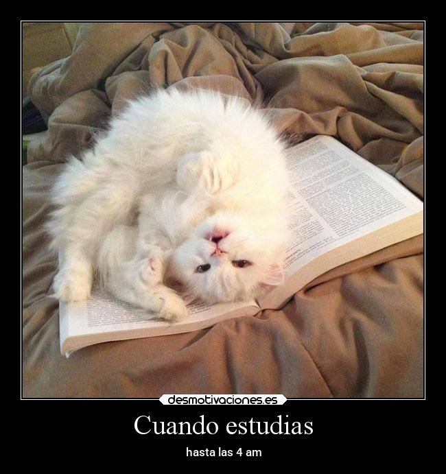 Cuando estudias -