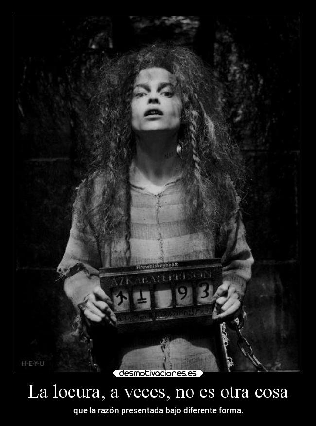 carteles locura locura ignorancia ideas desmotivaciones