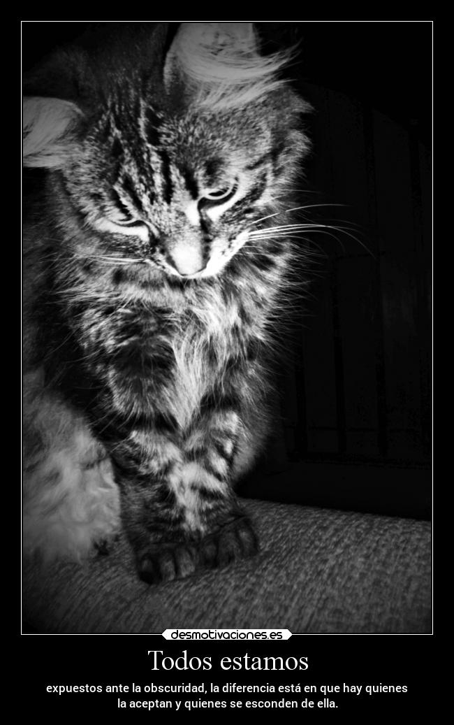 carteles madurar miedo mundo sociedad desmotivaciones