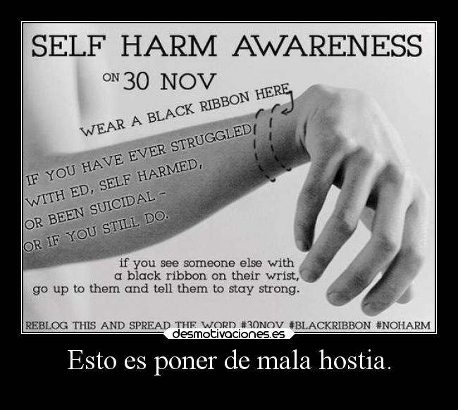 carteles madurar queputoasco joder desmotivaciones