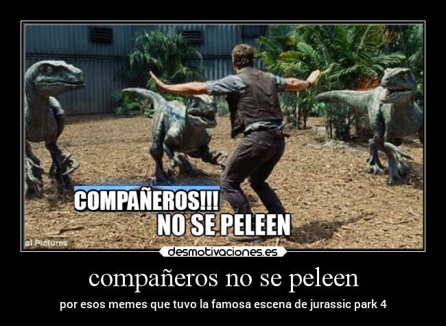 compañeros no se peleen - 