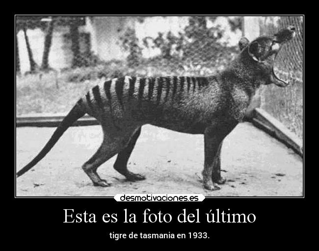 Esta es la foto del último - 