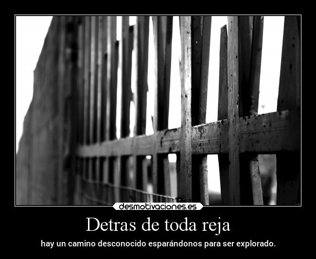Detras de toda reja - 