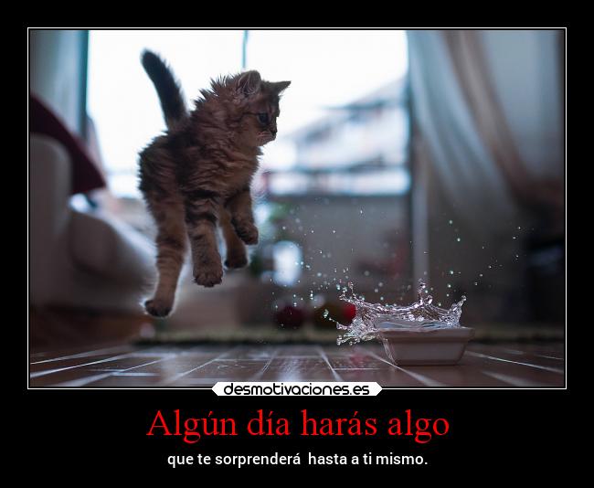 Algún día harás algo -