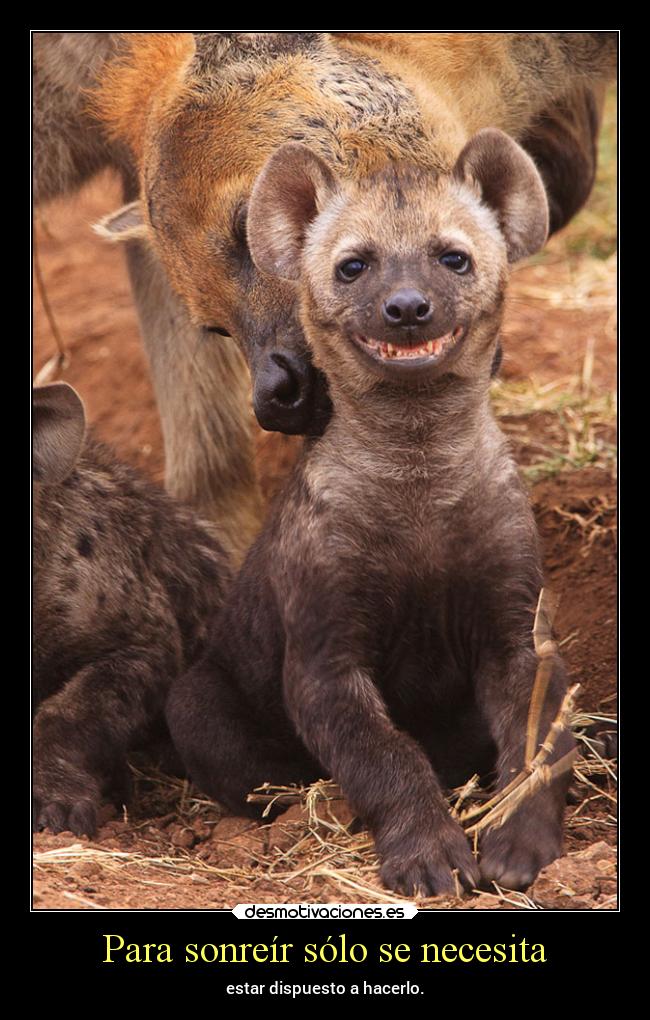 Para sonreír sólo se necesita -