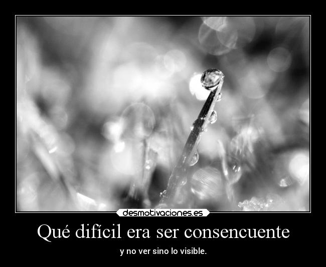 carteles muerte amm fernandop richard cederfjard desmotivaciones