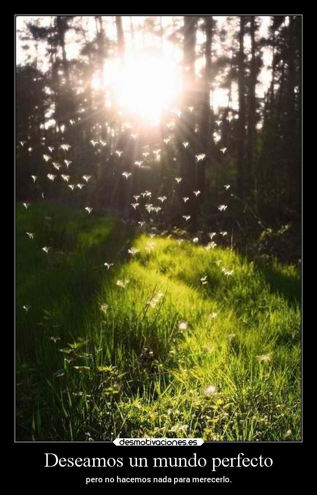Deseamos un mundo perfecto -