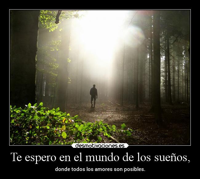 My Image 49