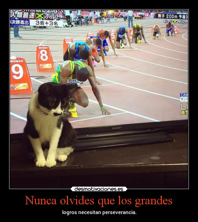 Nunca olvides que los grandes -